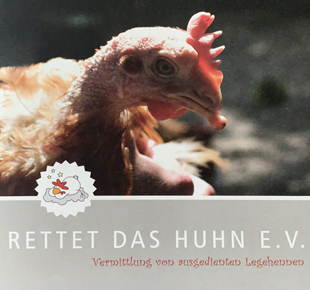beitragsbild-huehner